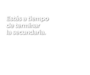 Terminá la secundaria.