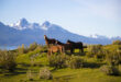 Ushuaia: la ciudad del sur que se propone como un excelente destino para pasar el verano