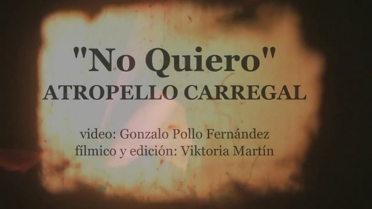 Atropello Carregal y la moral de la naturaleza