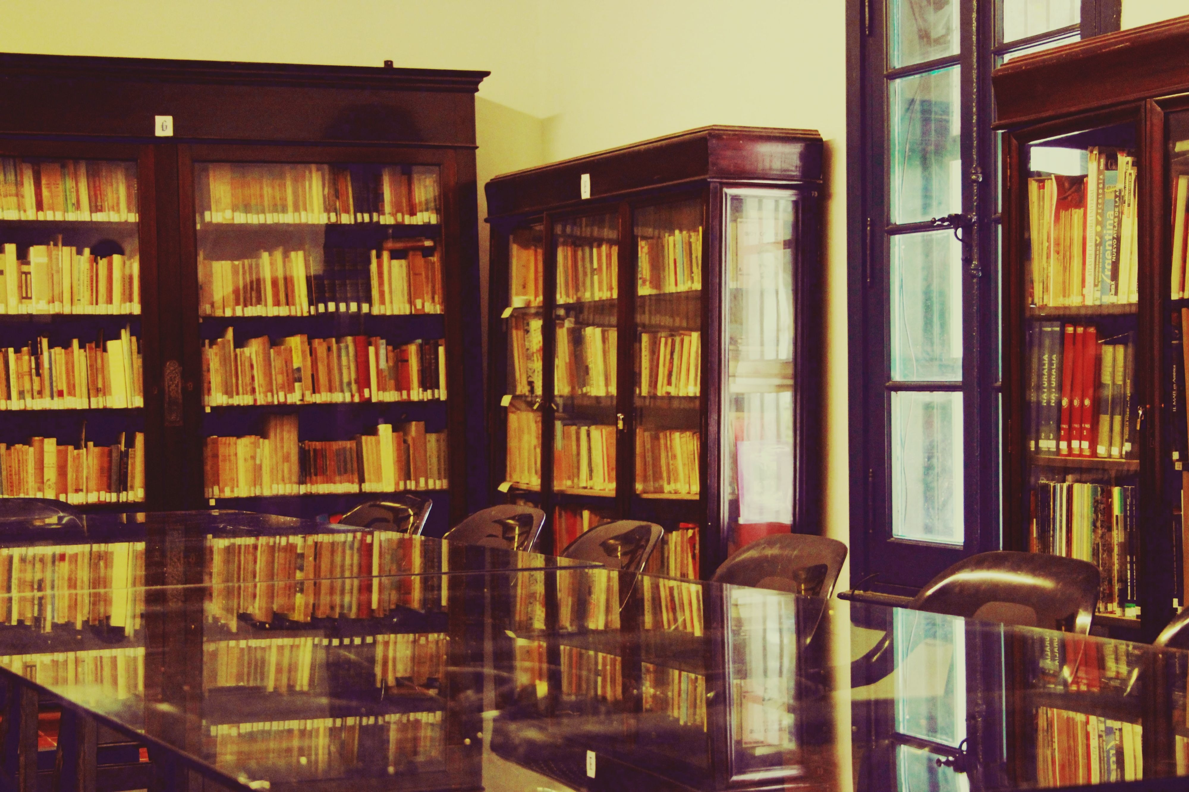 Actividades culturales en el Museo Saavedra