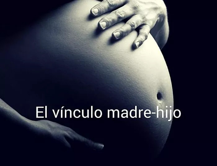 La comunicación musical: Musicoterapia pre y post natal