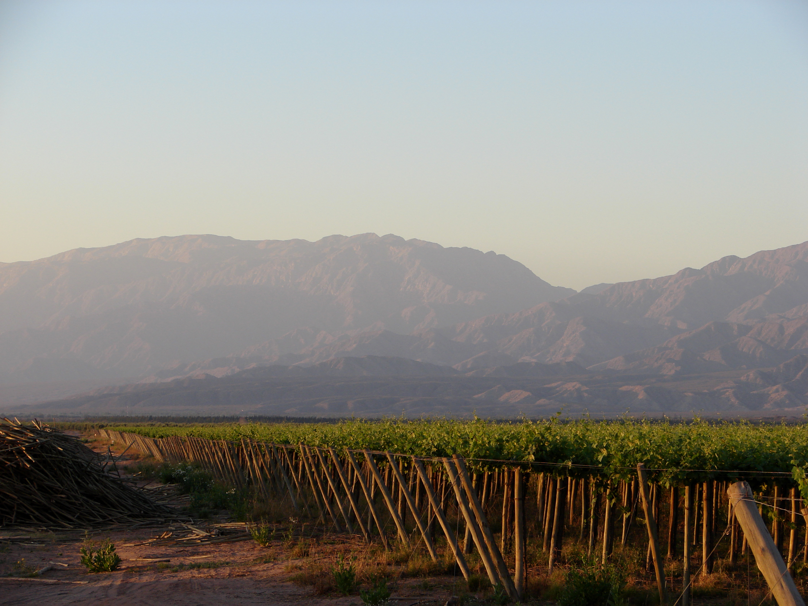Llega el día mundial del #Malbec y Valle de La Puerta se suma a la celebración