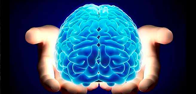 Claves para cuidar la salud del Cerebro