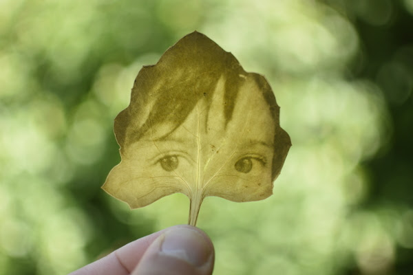 EL EXTRAÑO CASO DEL JARDINERO:Muestra fotográfica del artista uruguayo