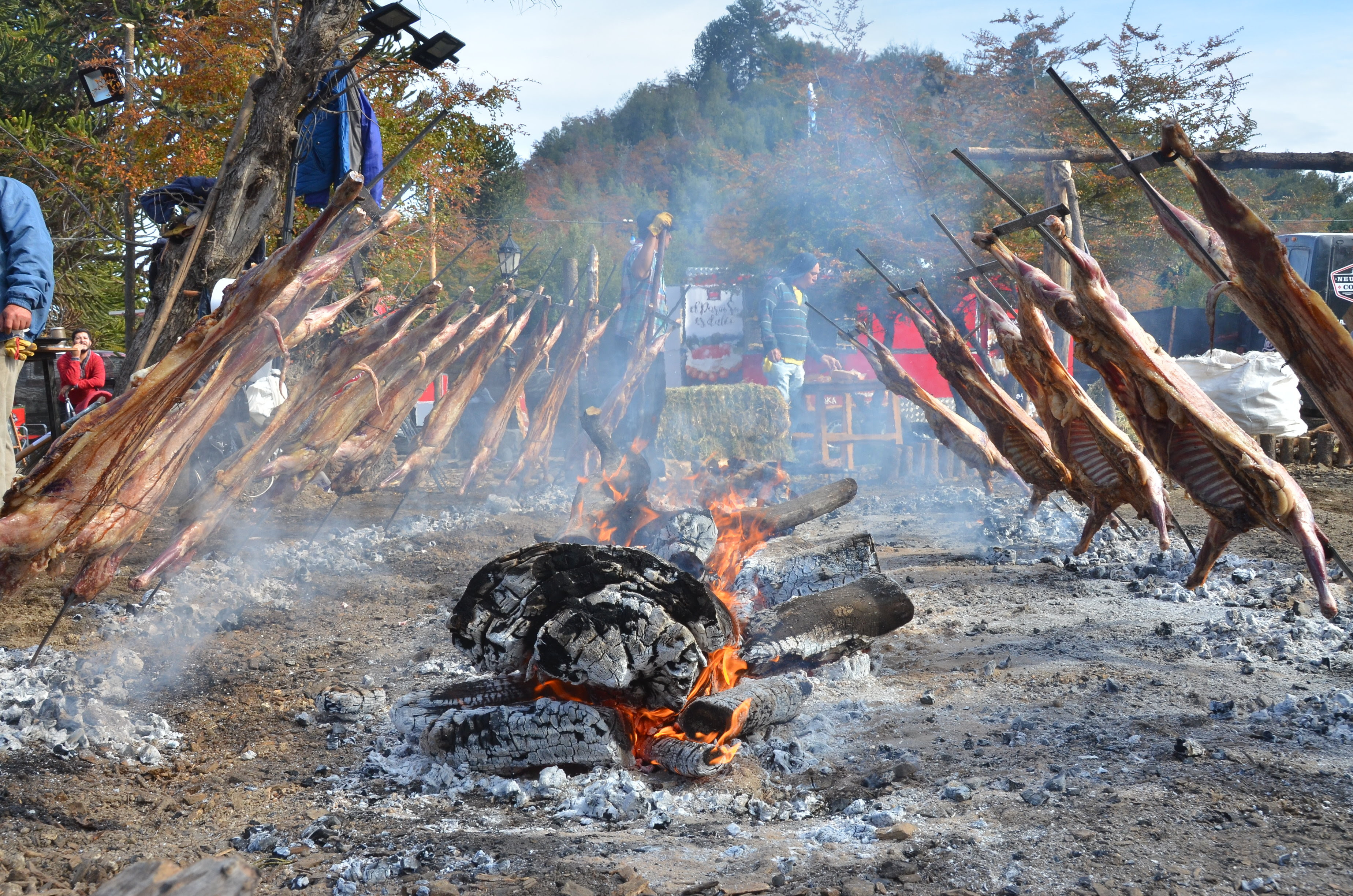 Festival Provincial del Chef Patagónico