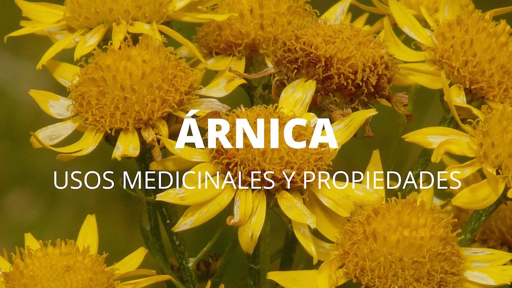 La revolución del los productos cosméticos naturales