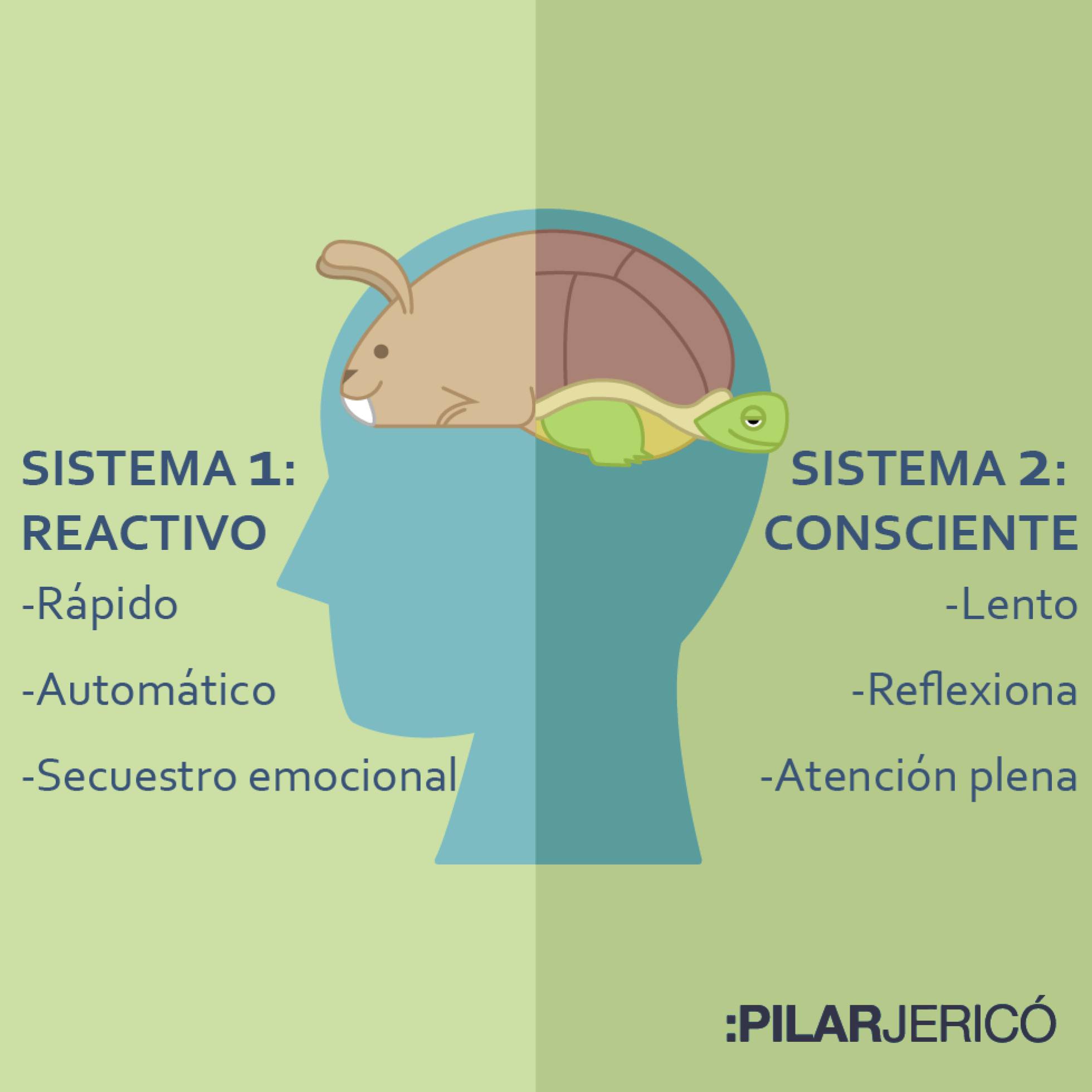 Tu cerebro está lleno de trampas