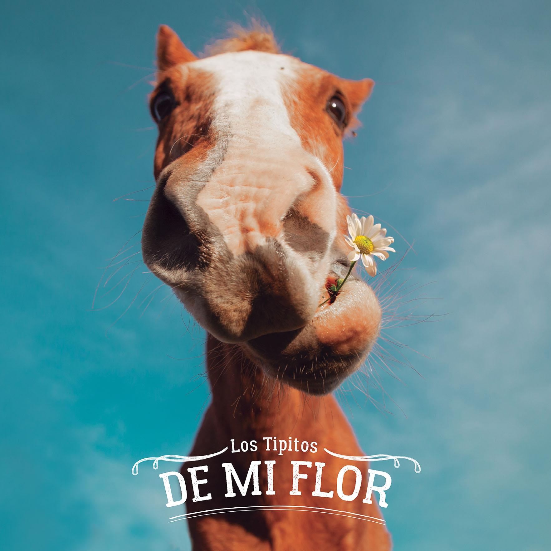 Los Tipitos presentan su primer álbum de folclore «De mi flor»
