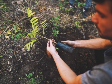 Las Yungas: el primer proyecto de reforestación de  Tree-Nation en Argentina