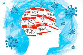 Llegando al futuro: la Salud Mental y el Sistema Nacional Integrado de Salud Argentino