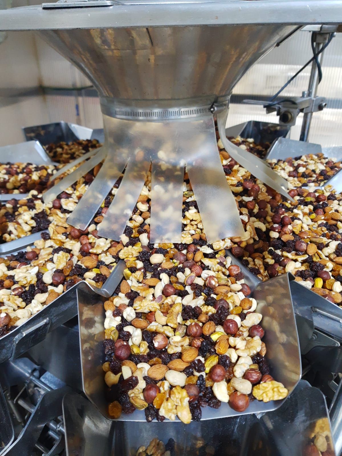 New Garden presenta su línea de 40 productos propios, con Certificación sin TACC