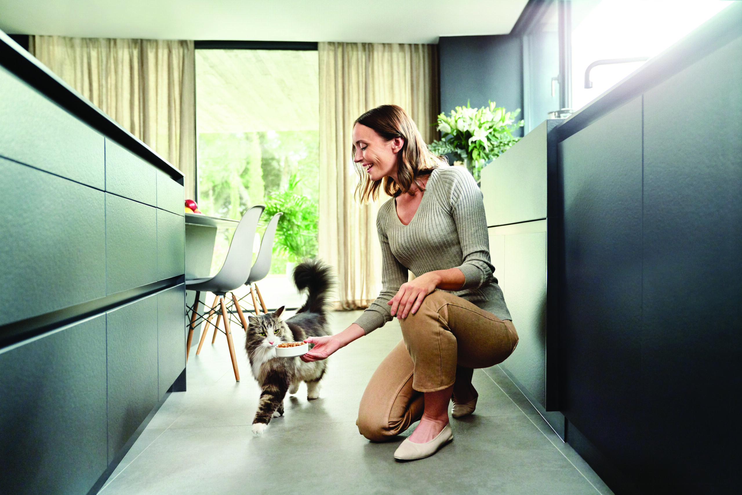 ¿cómo prepararse para la llegada de un gato al hogar?