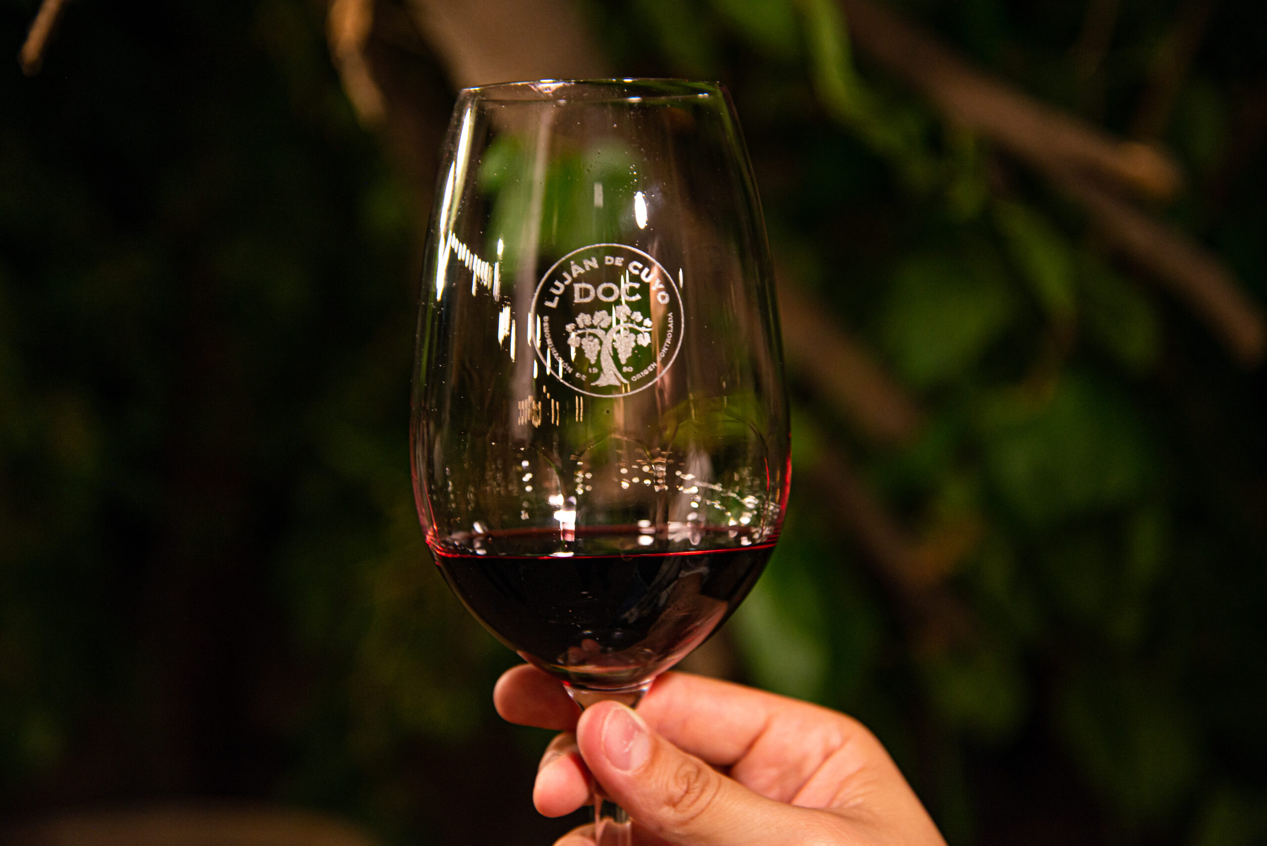 La D.O.C. Luján de Cuyo celebra el día Mundial del Malbec con novedades