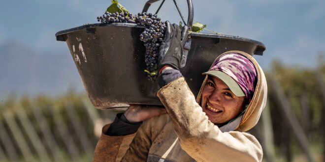 Bodega Valle de la Puerta: Respeto por la naturaleza y compromiso con la sostenibilidad