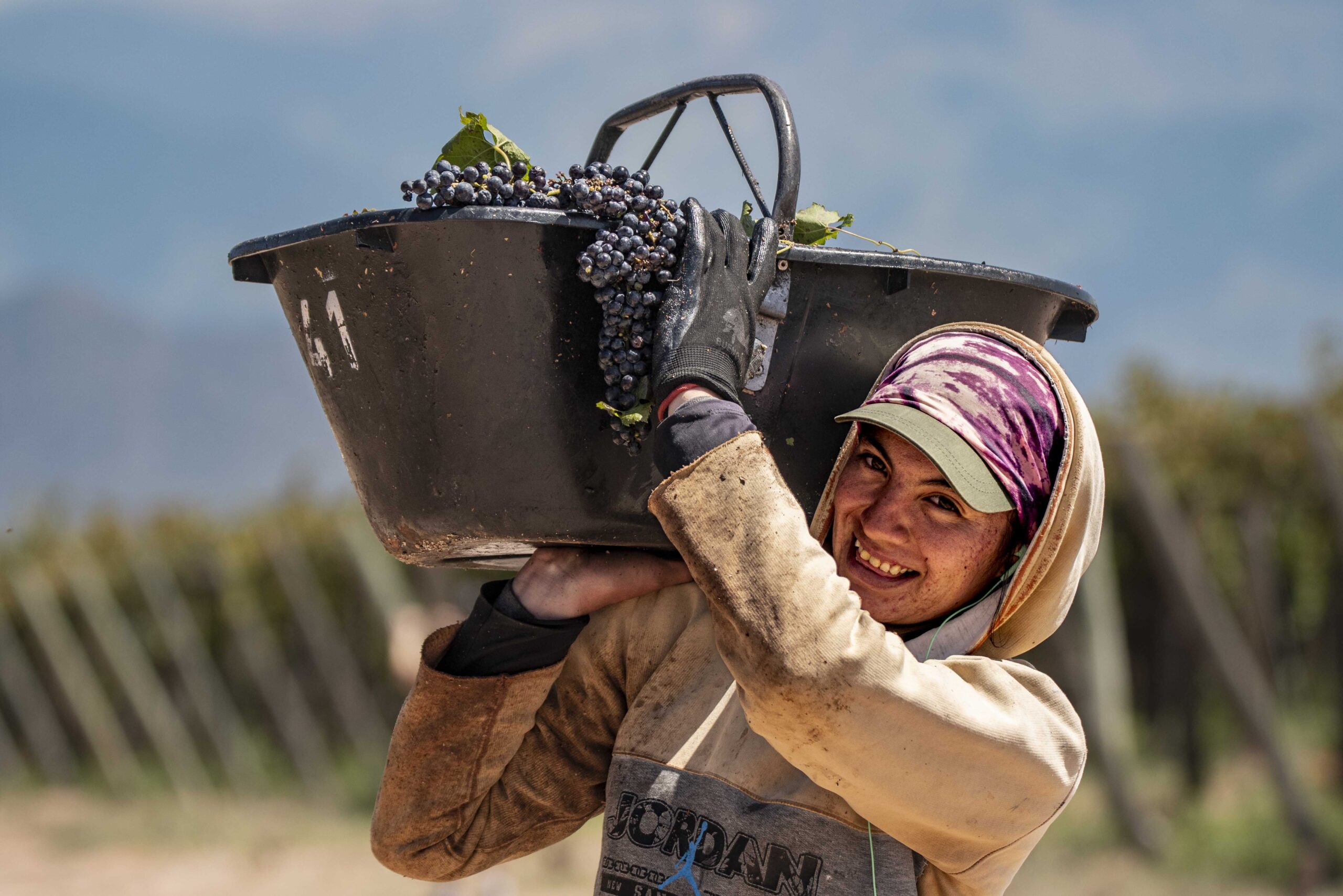 Bodega Valle de la Puerta: Respeto por la naturaleza y compromiso con la sostenibilidad