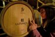 Celebra el día del amigo con vinos de excelencia y experiencias únicas en Bodega Valle de la Puerta