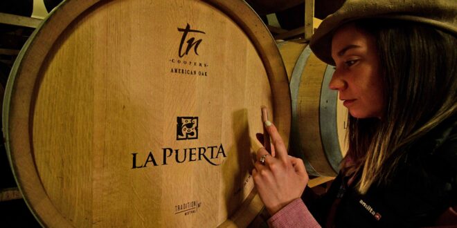 Celebra el día del amigo con vinos de excelencia y experiencias únicas en Bodega Valle de la Puerta