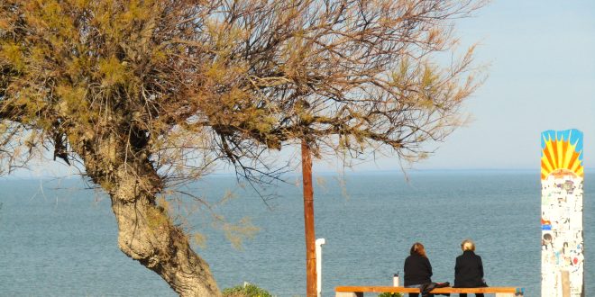 Dos vinos, un oro: Luján de Cuyo brilla en Decanter