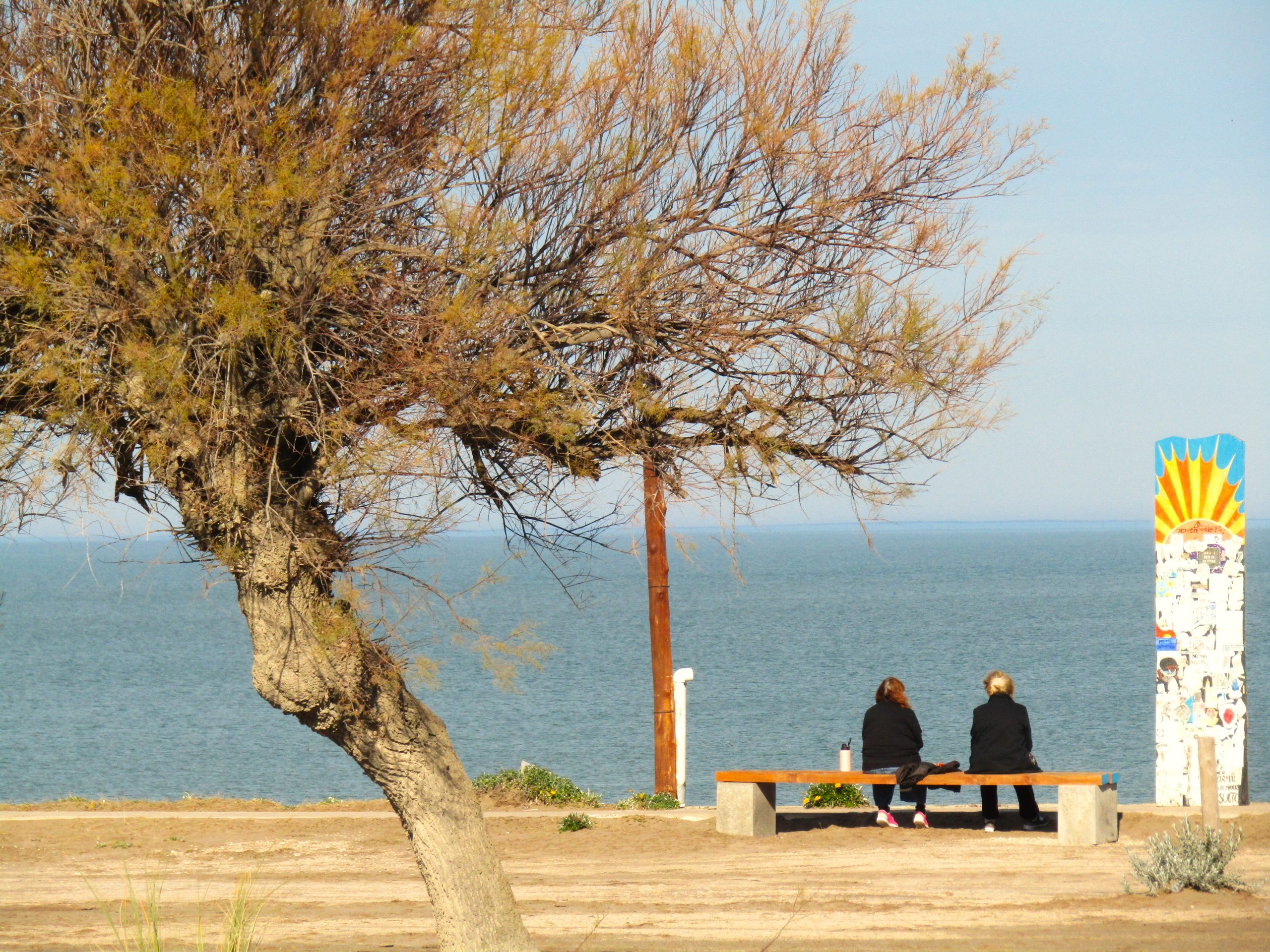Dos vinos, un oro: Luján de Cuyo brilla en Decanter