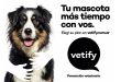 Medicina preventiva: la clave para extender la vida y el bienestar de las mascotas