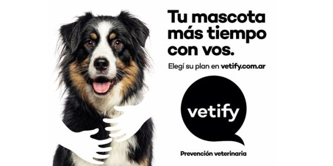 Medicina preventiva: la clave para extender la vida y el bienestar de las mascotas