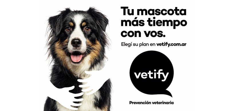 Medicina preventiva: la clave para extender la vida y el bienestar de las mascotas